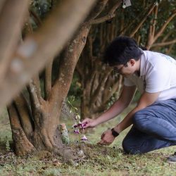 殯葬冷知識:集體火化跟個別火化