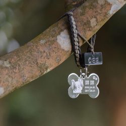 殯葬冷知識:寵物的告別式,時程安排