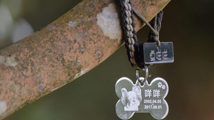 殯葬冷知識：寵物的告別式，時程安排