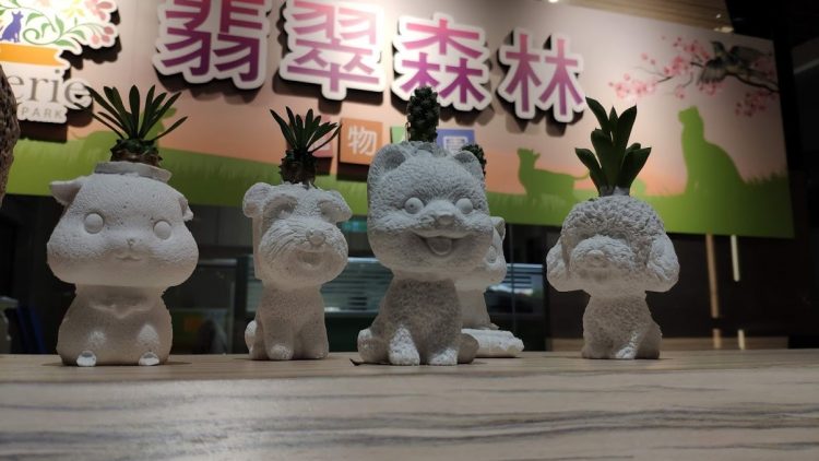 新品上架：植物方塊