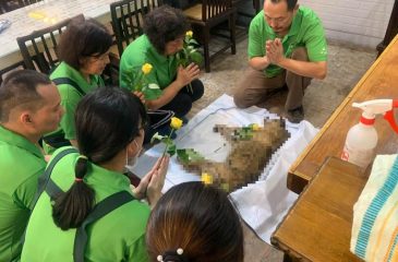 感恩小花活動通啟