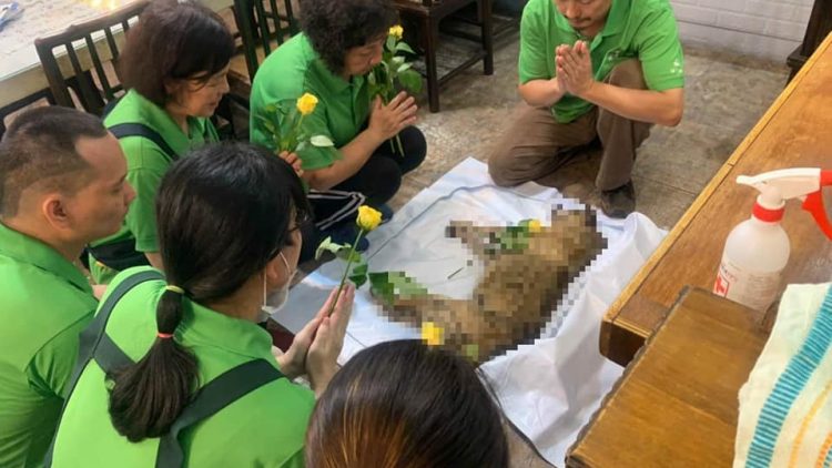 感恩小花活動通啟