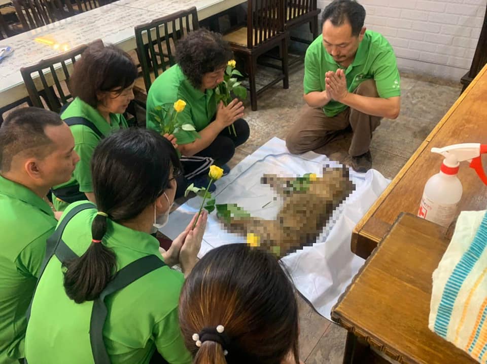 感恩小花活動通啟